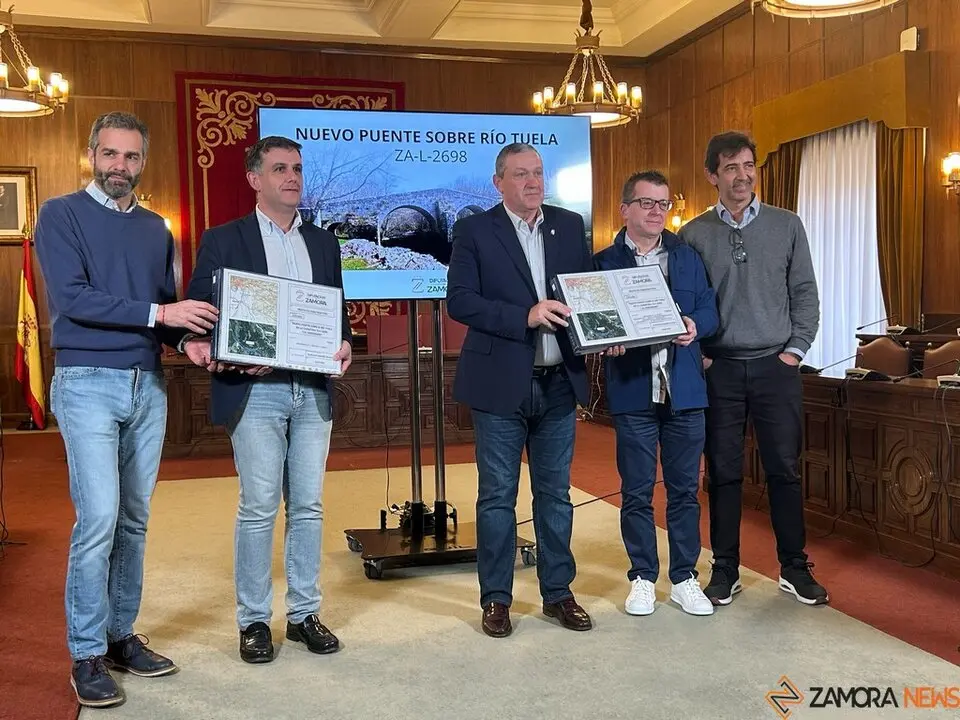 Puente Hermisende Proyecto