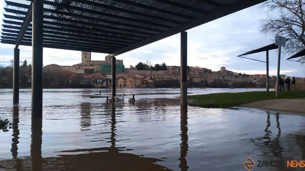 Crecida del Río Duero Zamora_2