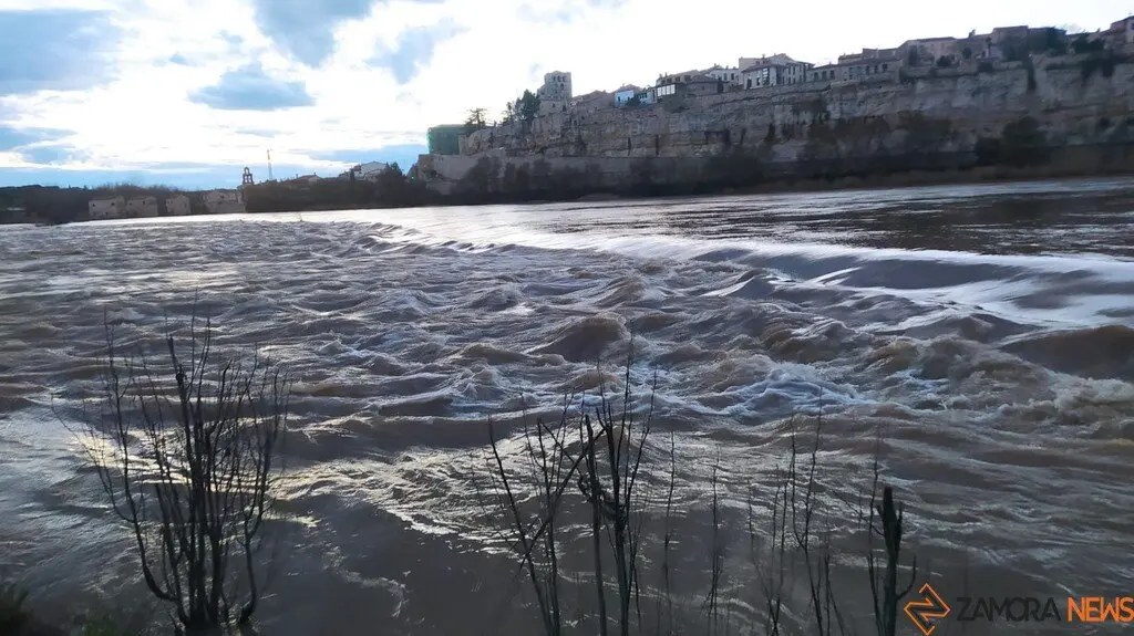 Crecida del Río Duero Zamora_4