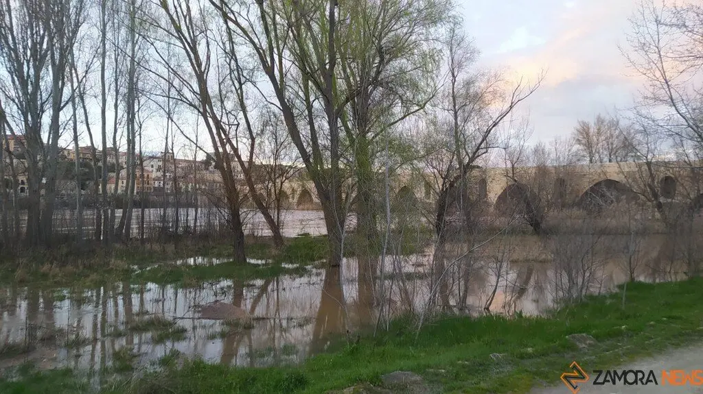 Crecida del Río Duero Zamora_7