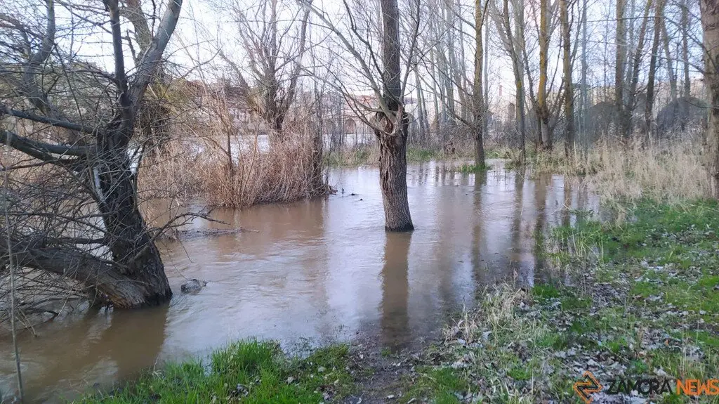 Crecida del Río Duero Zamora_8