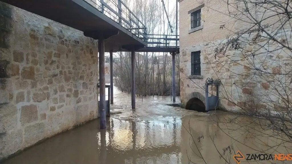 Crecida del Río Duero Zamora_13