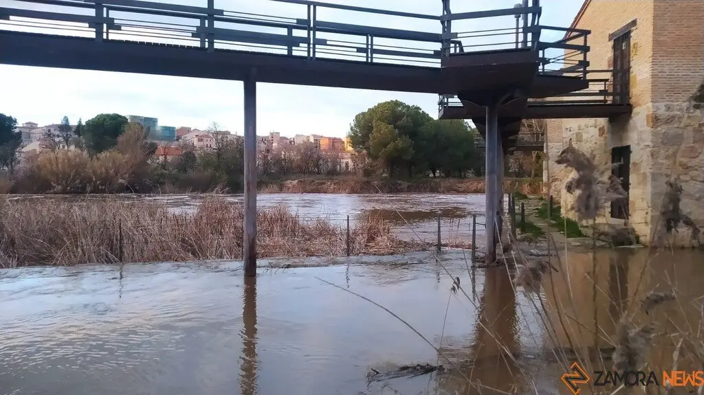 Crecida del Río Duero Zamora_14