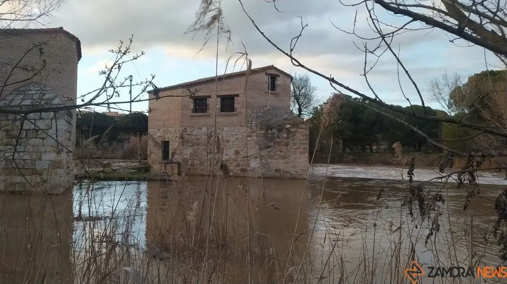 Crecida del Río Duero Zamora_15