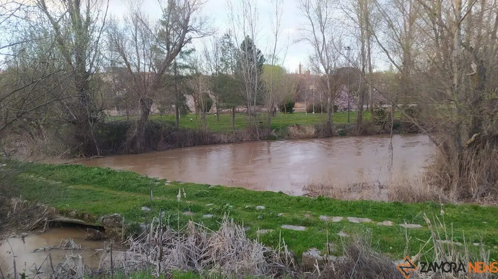 Crecida del Río Duero Zamora_17