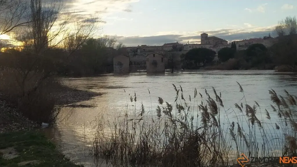 Crecida del Río Duero Zamora_18