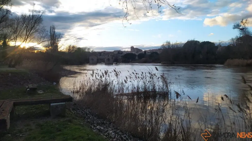 Crecida del Río Duero Zamora_19