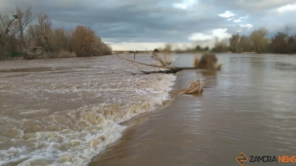Crecida del Río Duero Zamora_21