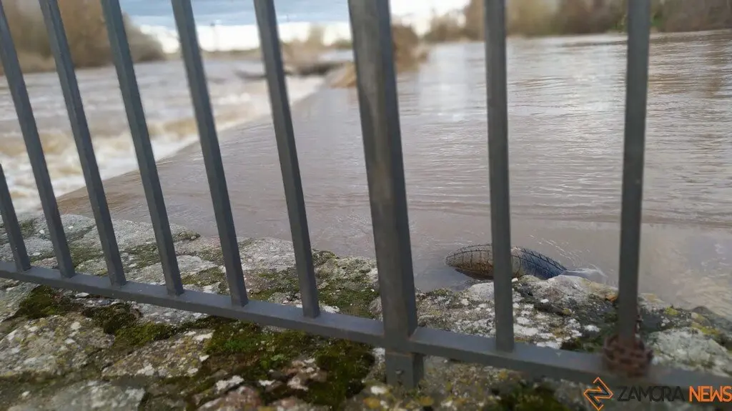Crecida del Río Duero Zamora_22