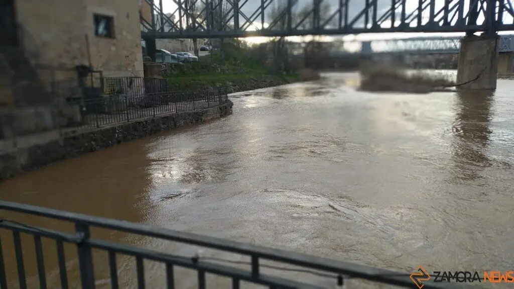 Crecida del Río Duero Zamora_23