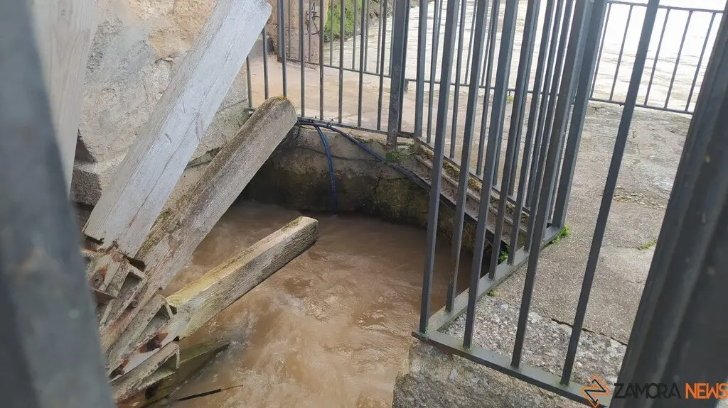 Crecida del Río Duero Zamora_24