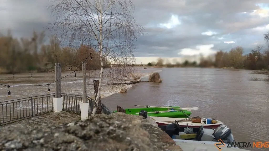 Crecida del Río Duero Zamora_25