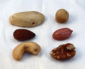 frutos secos