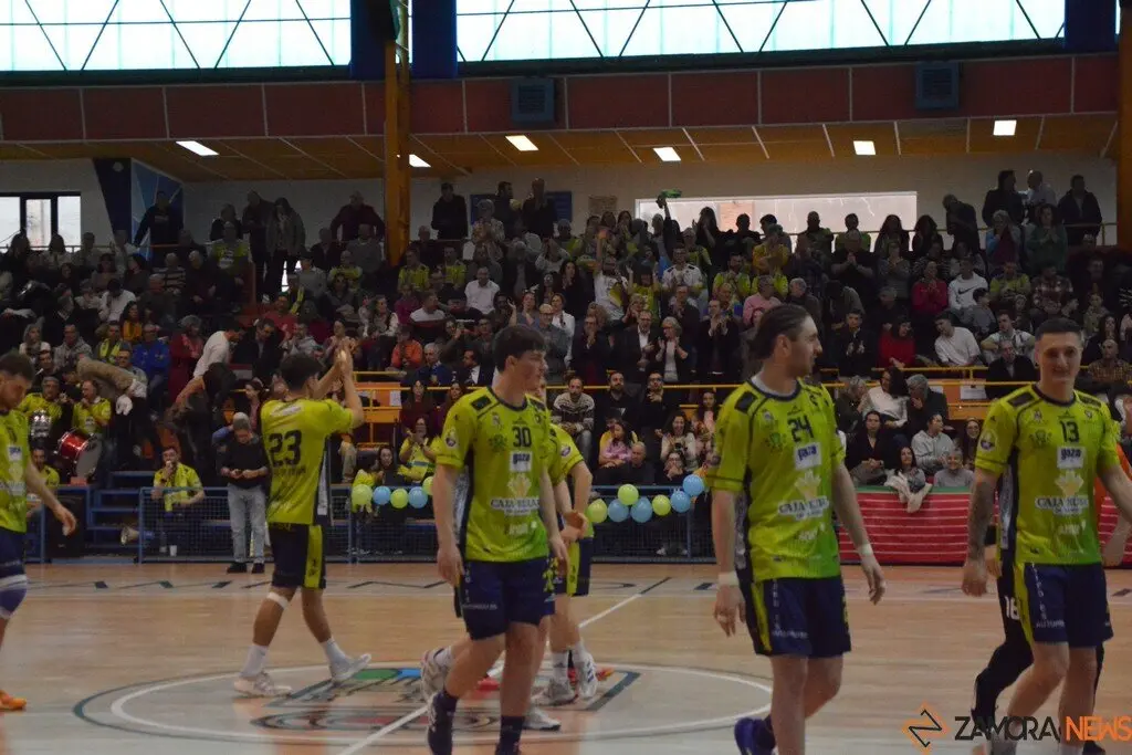 Balonmanozamora