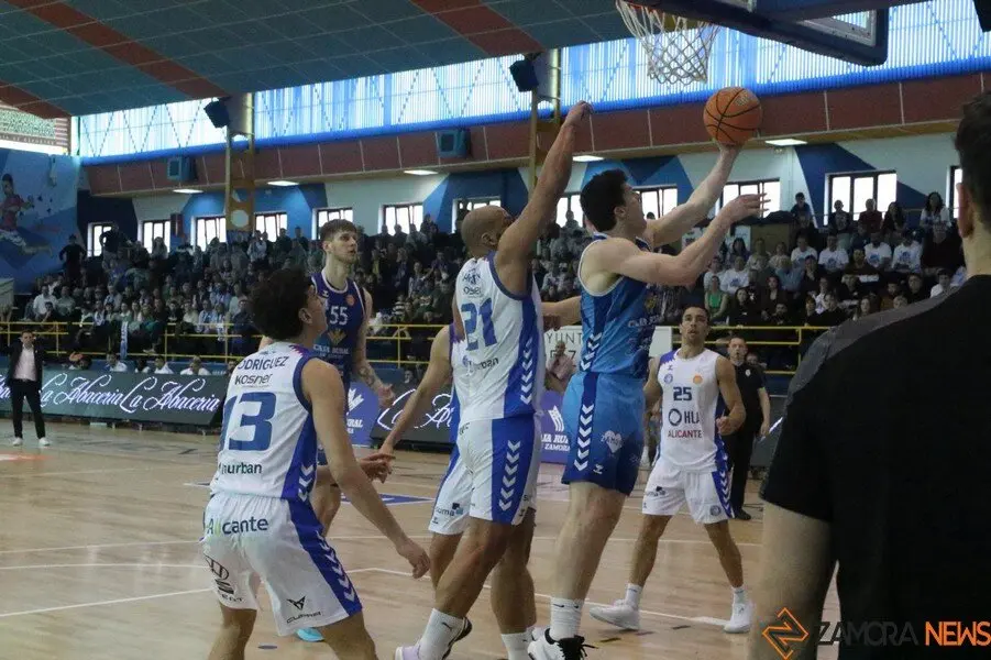 CB Zamora vs HLA Alicante_8