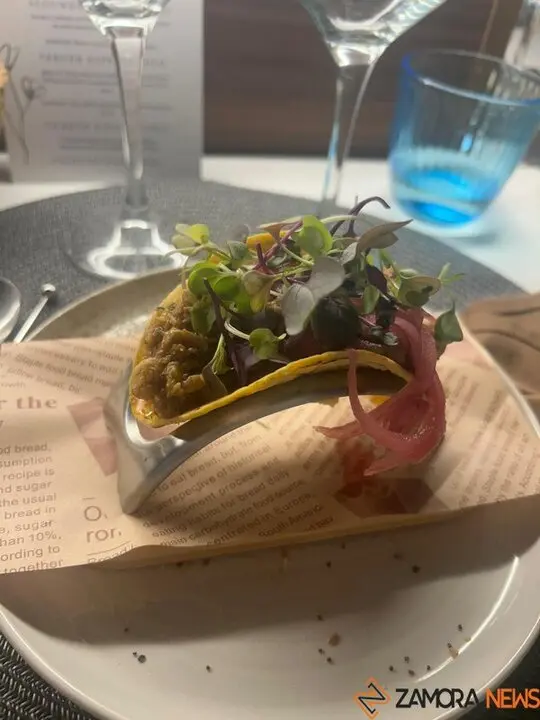 catas museo aceite jonatan_6