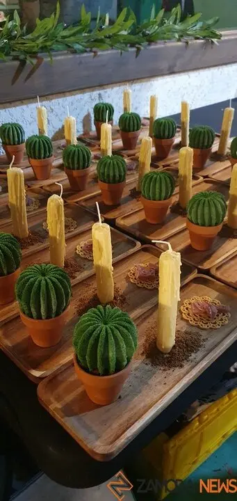 catas museo aceite jonatan_18