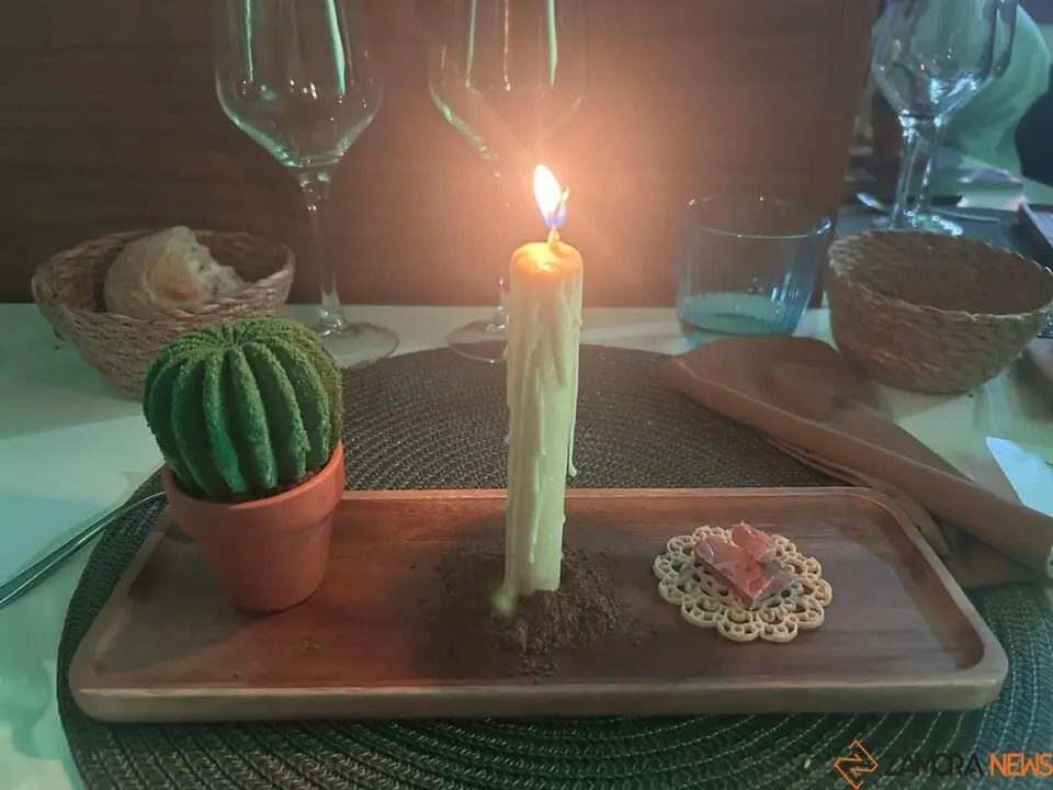 catas museo aceite jonatan_5