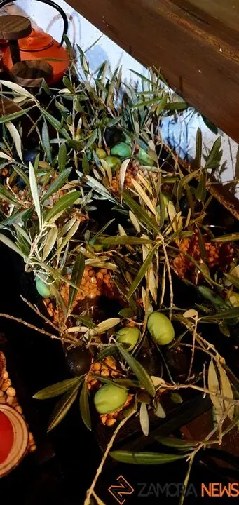 catas museo aceite jonatan_21