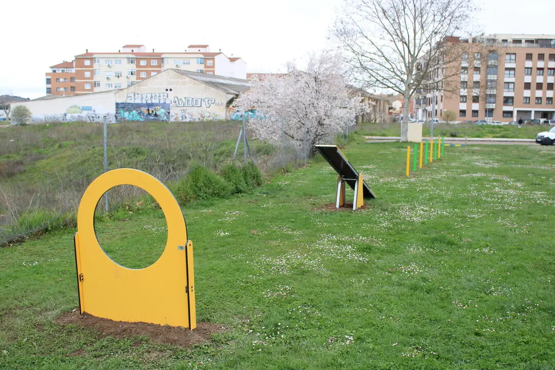 Juegos Caninos Pinilla