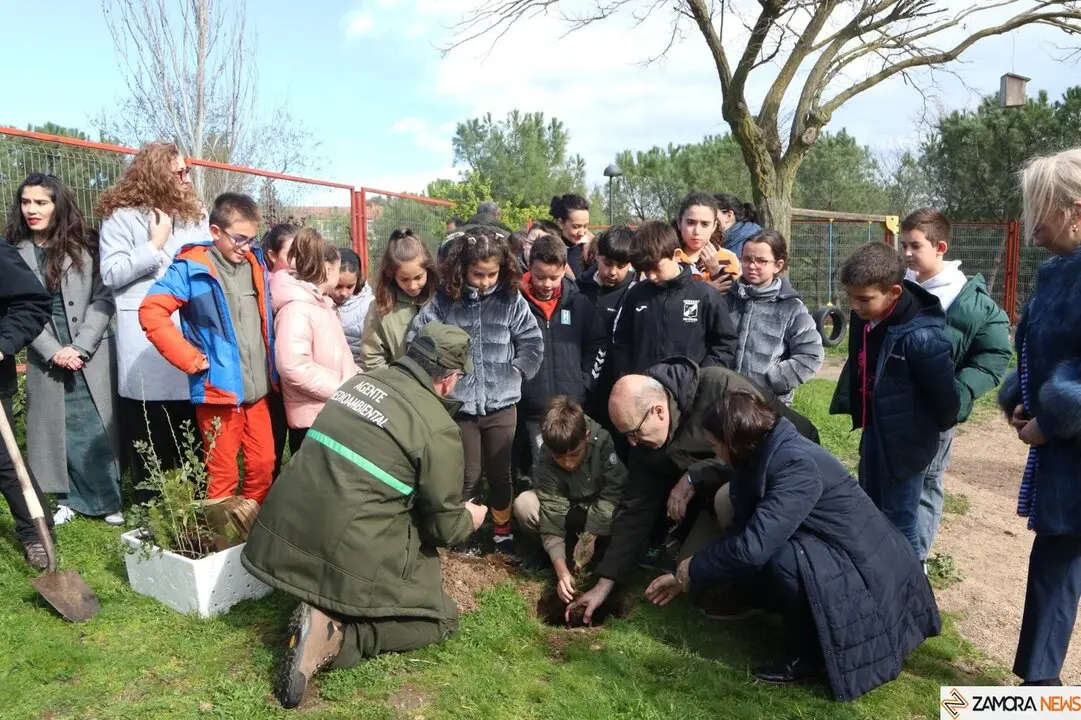 Fernando Prada y los escolares del CEIP Riomanzanas plantan futuro en el Día del Árbol