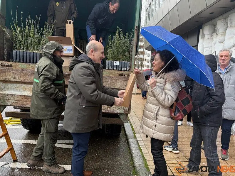 La Junta de Zamora entrega más de 2.000 plantas 