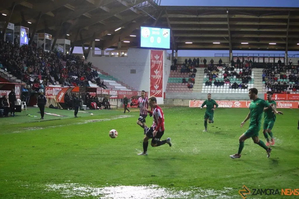 Zamora CF vs Nàstic_16