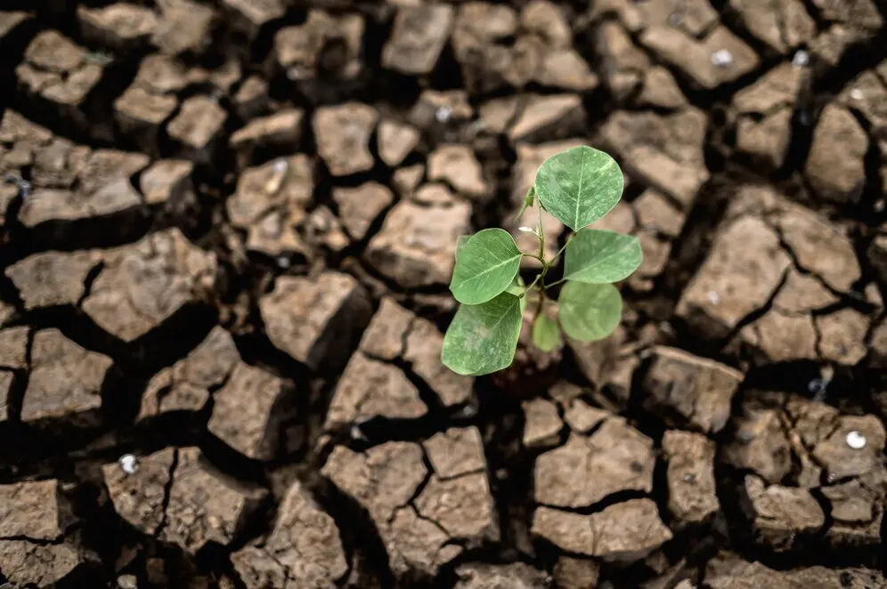 Cambio Climático Archivo