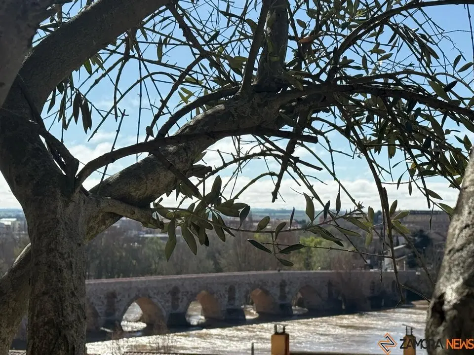 Día soleado en zamora
