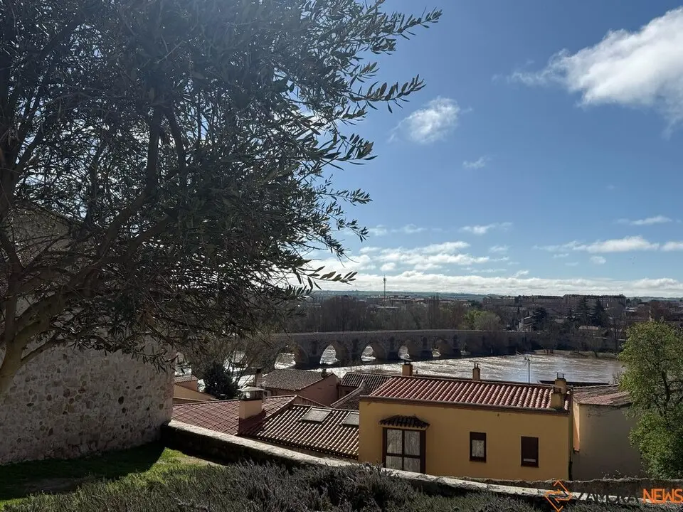 Día soleado en zamora_2