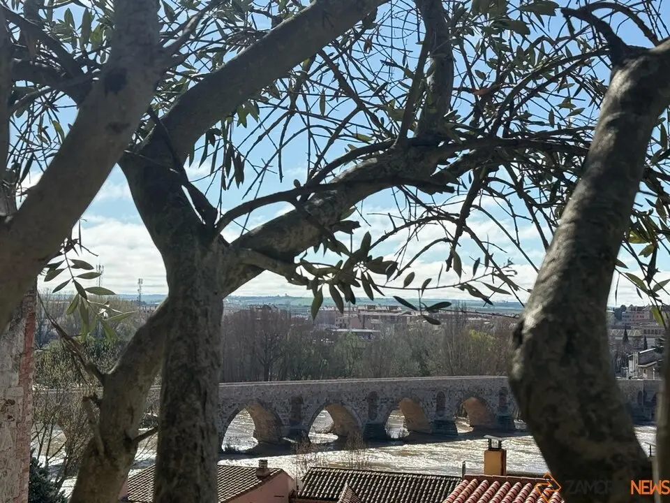 Día soleado en zamora_4