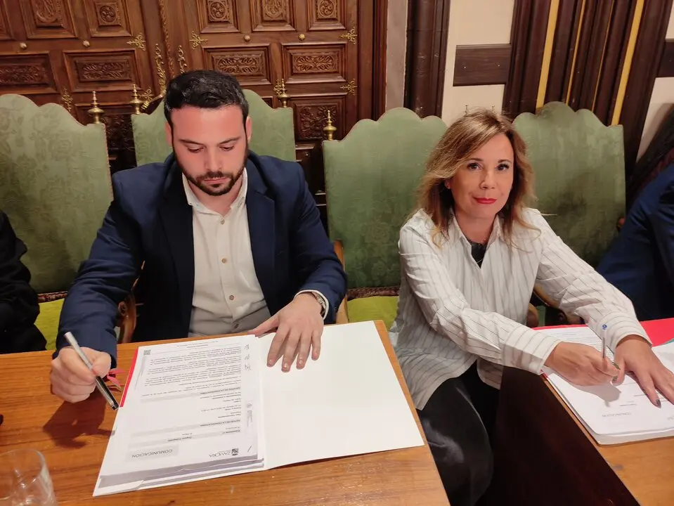 Pleno Ayuntamiento (Febrero 2025)