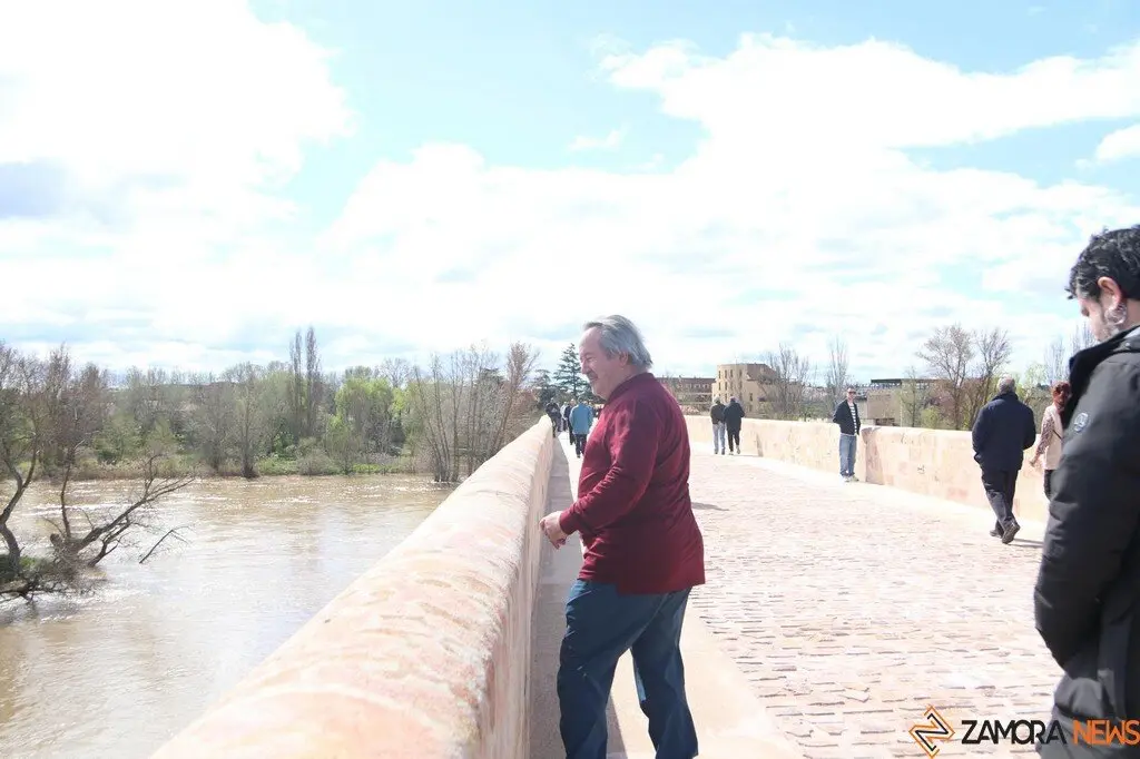 Puente de piedra_12