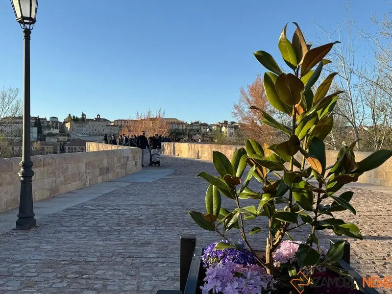 Puente de Piedra _12