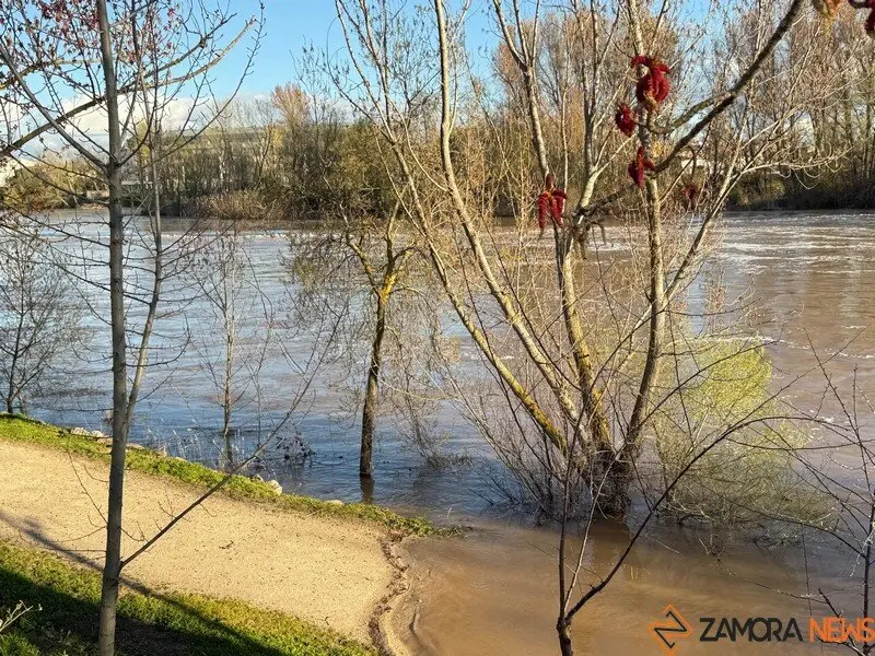 El Duero a su paso por Zamora _2