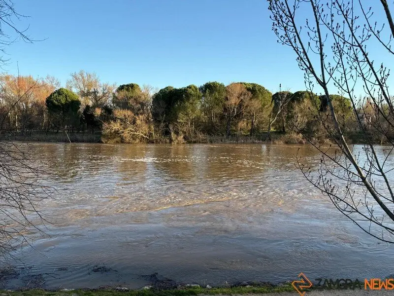 El Duero a su paso por Zamora _8