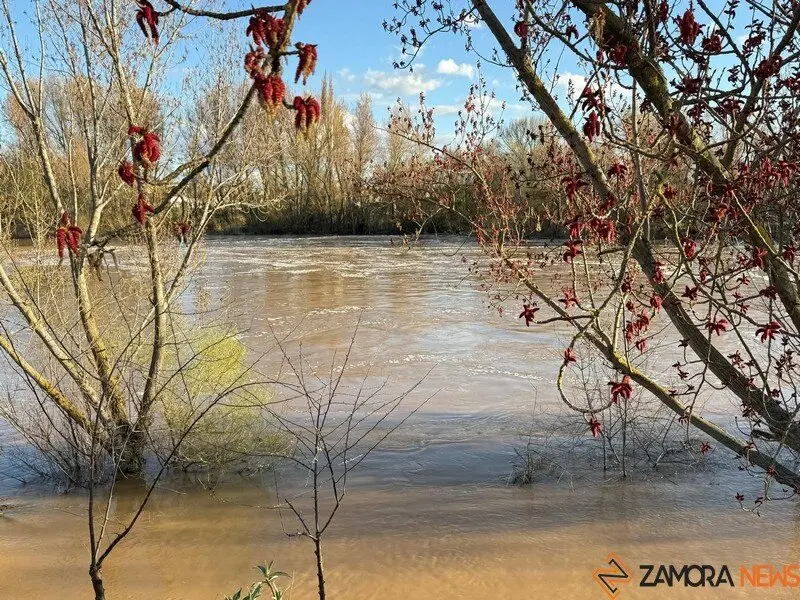 El Duero a su paso por Zamora _15