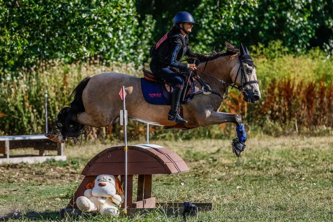 Campeonato de España de Ponis