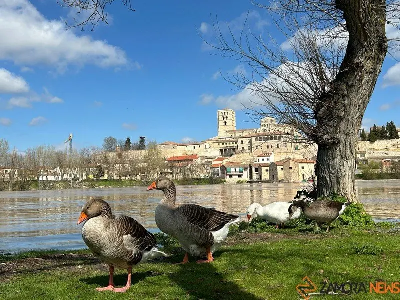 día soleado en Zamora _2