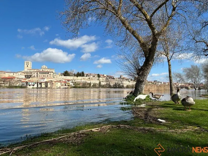 día soleado en Zamora _3