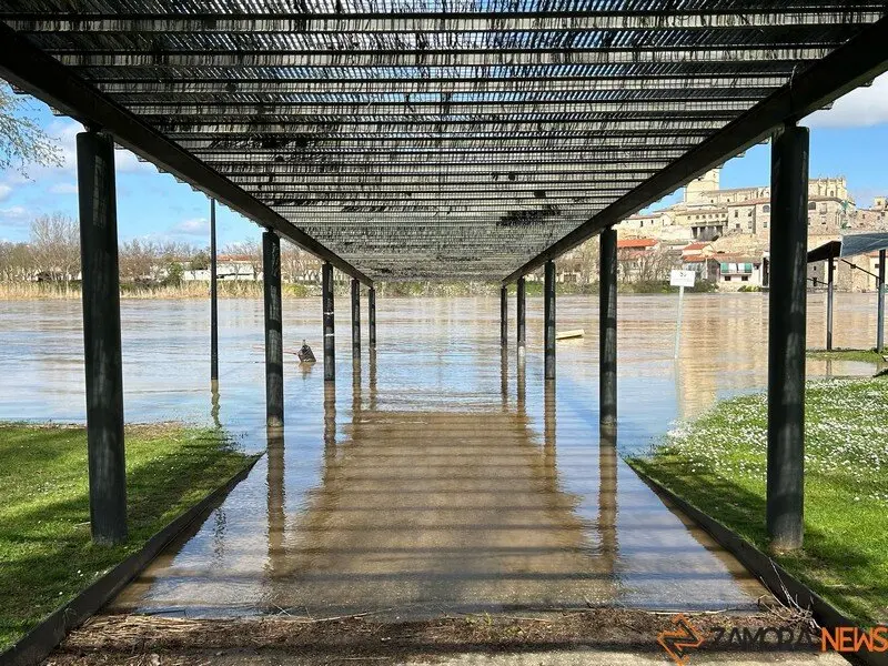 El Duero a su paso por Zamora _3