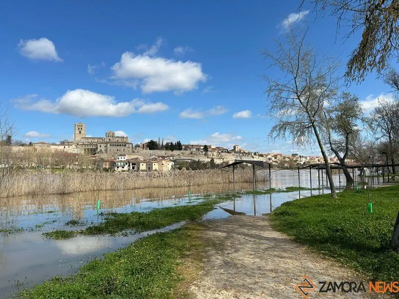 El Duero a su paso por Zamora _10