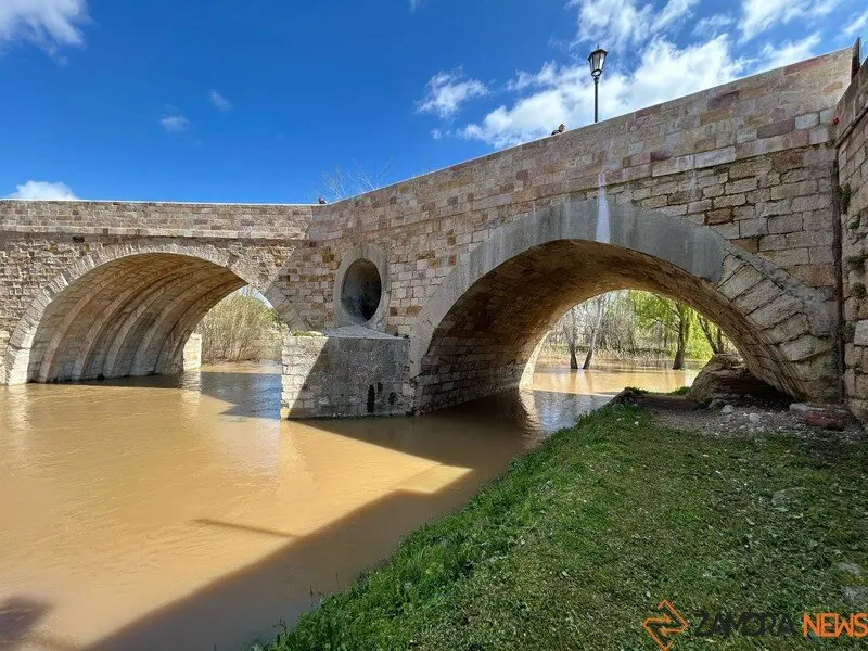 El Duero a su paso por Zamora _11