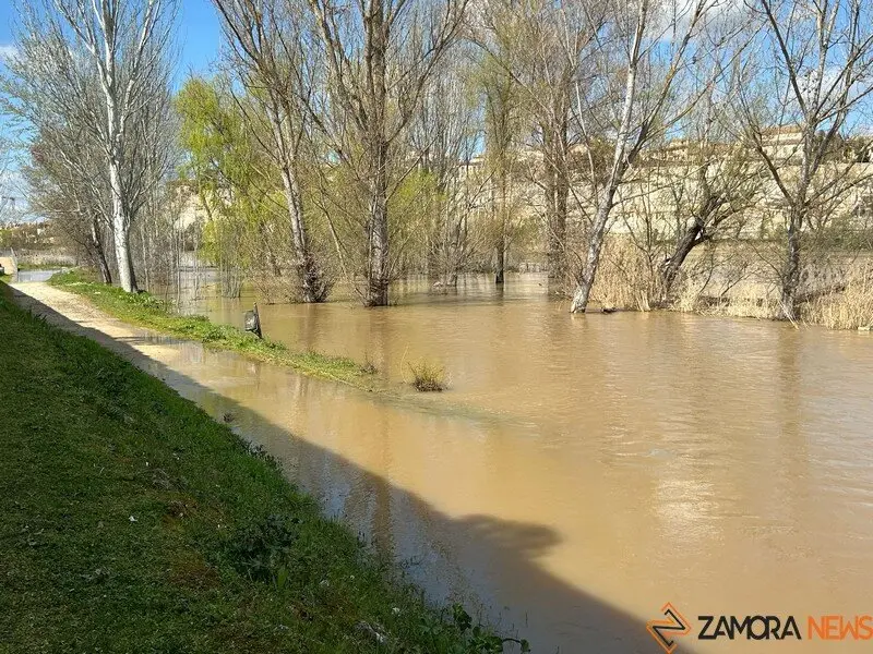 El Duero a su paso por Zamora _13