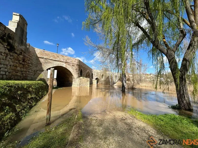 El Duero a su paso por Zamora _18