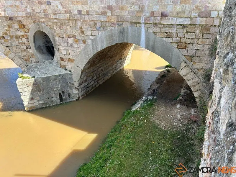 El Duero a su paso por Zamora _20