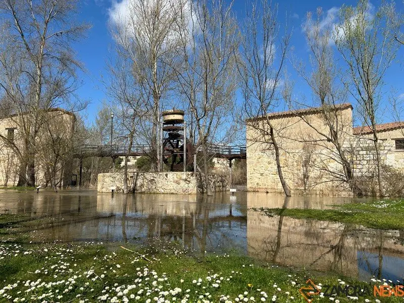 El Duero a su paso por Zamora _23