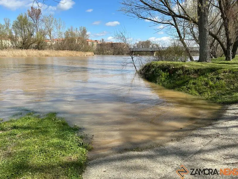 El Duero a su paso por Zamora _26