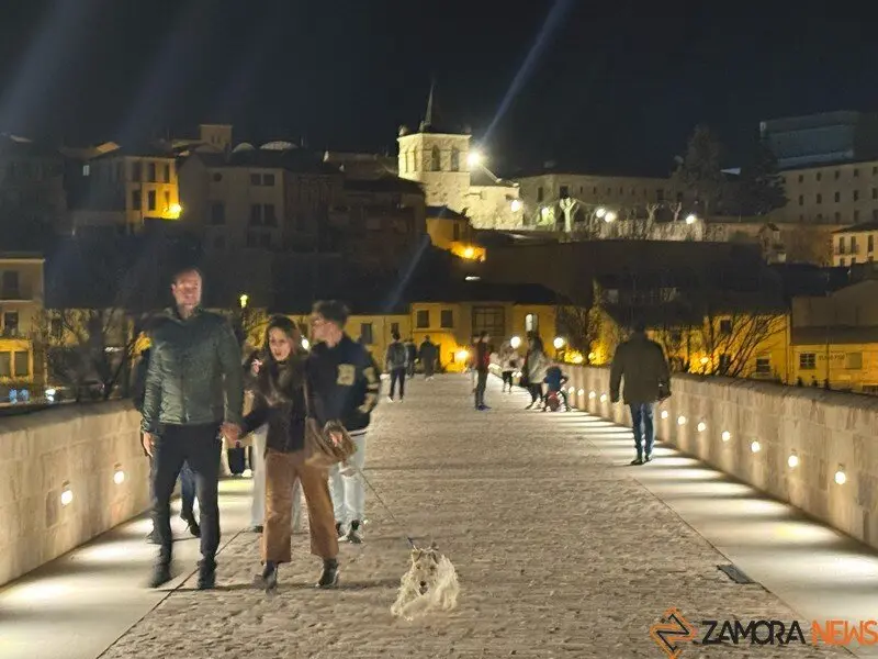 puente de piedra de Zamora de noche _2