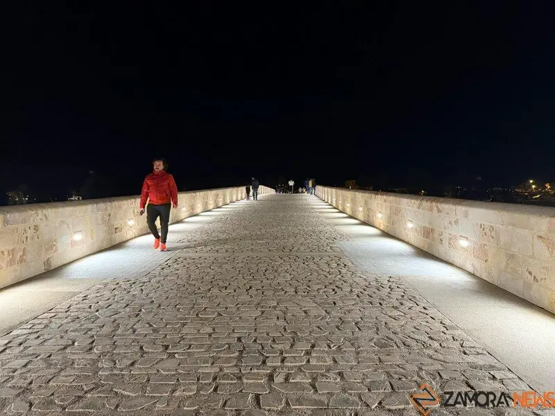 puente de piedra de Zamora de noche _3